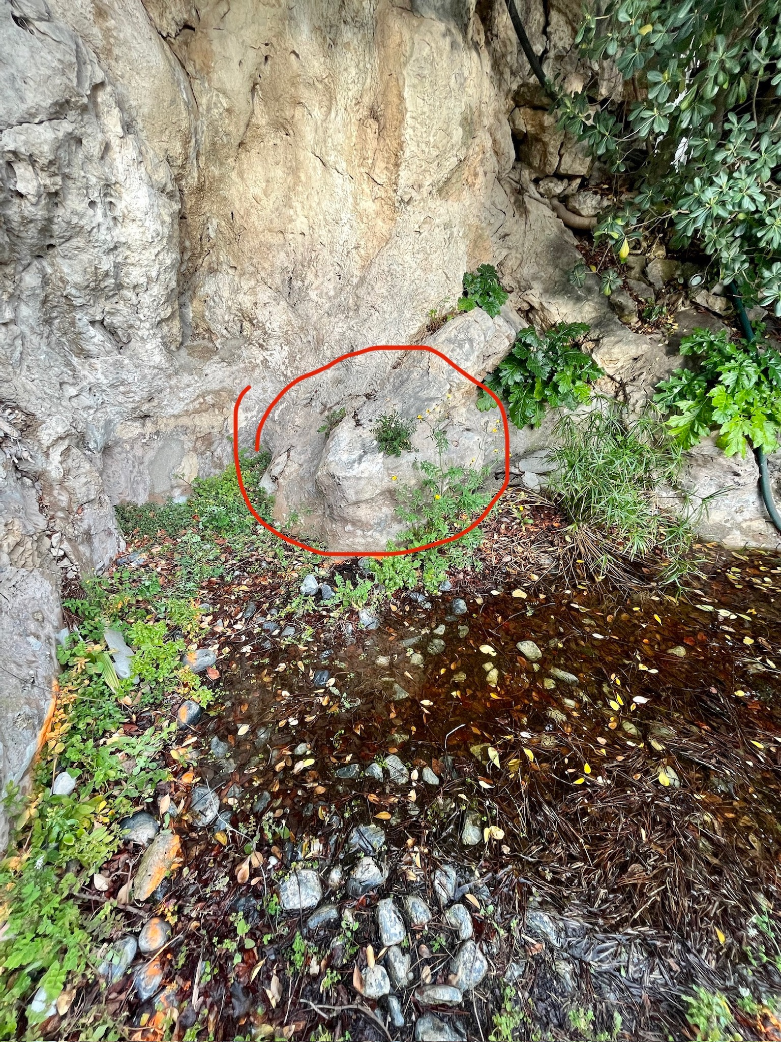 Chantier Roucas - Photo 41